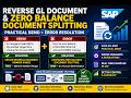 SAP S/4HANA FICO | Reverse G/L Document + Zero Balance Document Splitting Error Fix