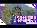 三招保養腎陽方法  - 鄭丹瑞《健康旦》#二十四節氣系列 Part 21 (CC中文字幕)