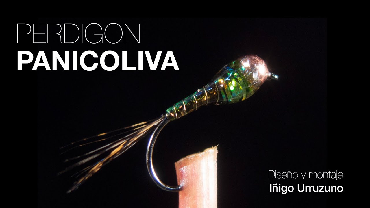 Montaje de perdigón Panicoliva