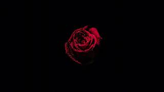 [FREE] EMOTIONAL BOOM BAP TYPE BEAT " HOLLOW ” | Sad Piano | Noctra Beats