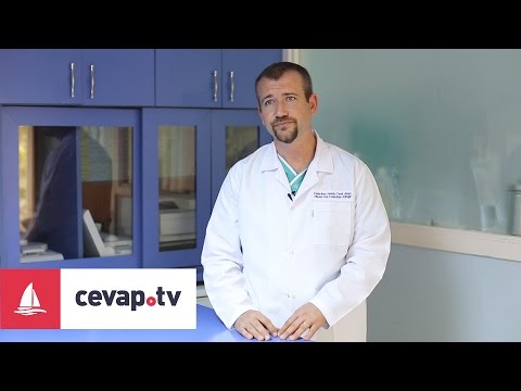 Video: Evcil Hayvanlar Hastalandığında Ağrıyı Gidermek