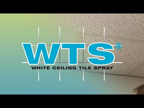 WTS White Ceiling Tile Spray