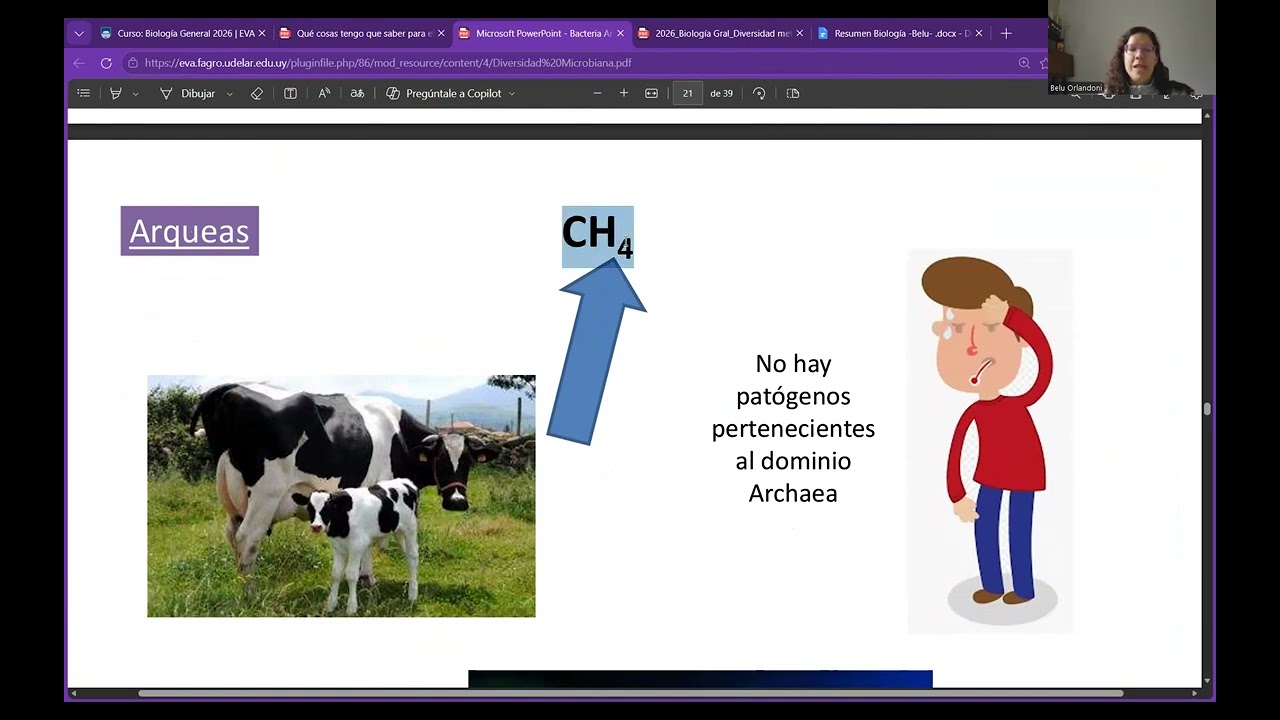 Repaso 2do parcial Biología 2da parte FAGRO