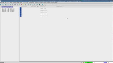 MIMICview startup with 10000 agents organized into submaps
