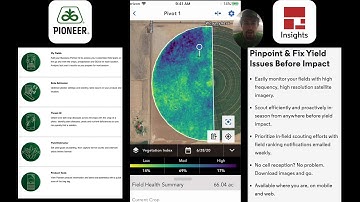 The Pioneer Seeds App with Granular Insights: Your Ultimate Scouting Tool