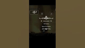 How to Change Controls in Hollow Knight Mobile (Quick Fix Tutorial!)