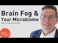 Is Brain Fog Caused By Your Microbiome?