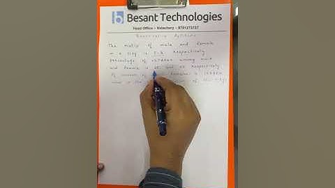 Quantitative Aptitude Classes for Placements to Crack Top MNC Interviews | Besant Technologies