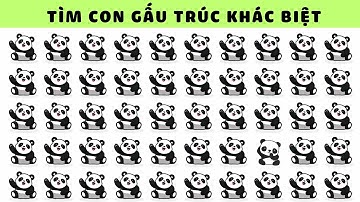 Tìm Điểm Khác Biệt Chủ Đề Động Vật | Thử Tài Tinh Mắt Bé Yêu |Nguyễn Thị Lan Anh