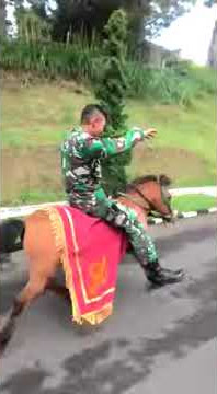 Menaiki kuda tanpa berpegangan