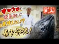 本マグロを捌く！大トロより美味しい希少部位！？（前半）