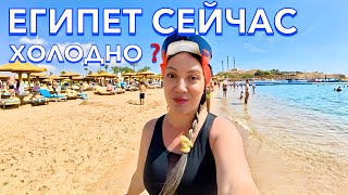 Египет 2025. АНШЛАГ❗️ МЕДУЗЫ в НААМА БЭЙ. Naama Bay Promenade Mountain 5*. Шарм эль Шейх