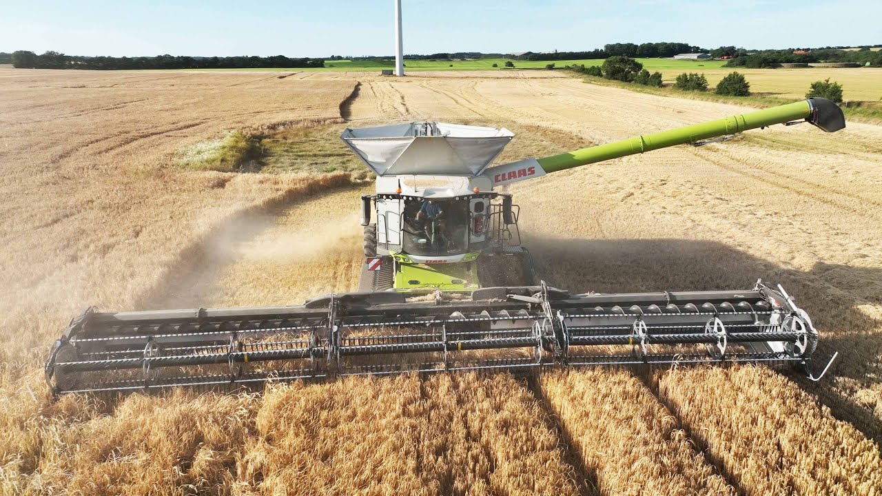 Claas Lexion 8900 with 50 ft. Wide MacDon FD250 Header Harvesting Barley | Big Harvest 2025