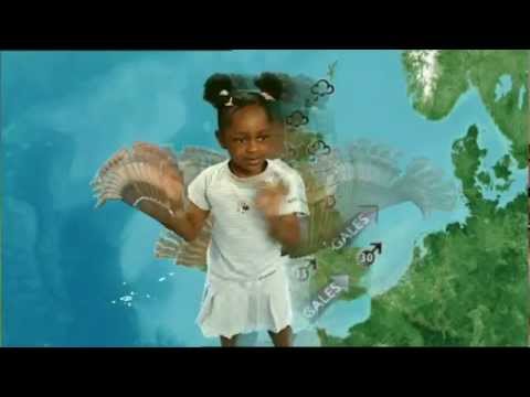 Boogie Beebies Every Kind Of Weather Song Youtube