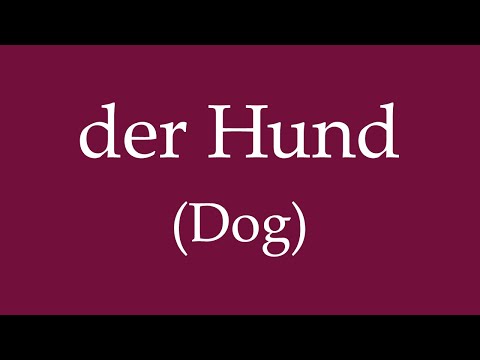 How to Say “Dog” and Train Your Dog in German?