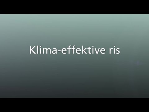 Video: Hvordan diskuteres dyrkning af ris i Indien?