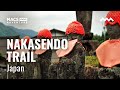 Walking the Nakasendo Trail in Japan