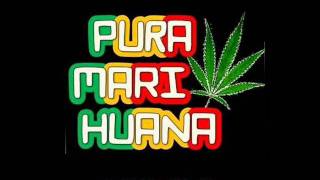 Si no te hubieras ido - Pura Marihuana (Fumando y Bailando)