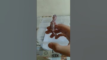 cara handle gecko 😃.             how to handle leopard gecko.       #Shorts #leopardgecko #pets