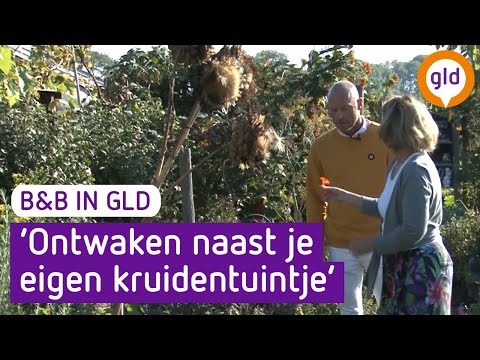 B&B in GLD - Rustig en Relaxed - De Blauwe Steen - | Omroep Gelderland