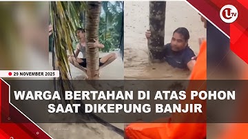 MOMEN DRAMATIS TIM SAR ACEH EVAKUASI WARGA TERJEBAK BANJIR DI ATAS POHON | U-NEWS