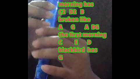 MORNING HAS BROKEN by Cat Stevens  EASY FLUTE RECORDER TURORIAL