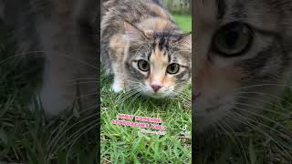 The Nerve Of Some People