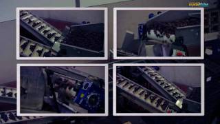 Date Sorting Machine
