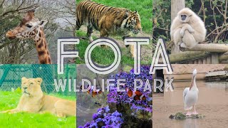 Fota Wildlife Park - 4K Video Tour | Fota Island, Cork, Ireland