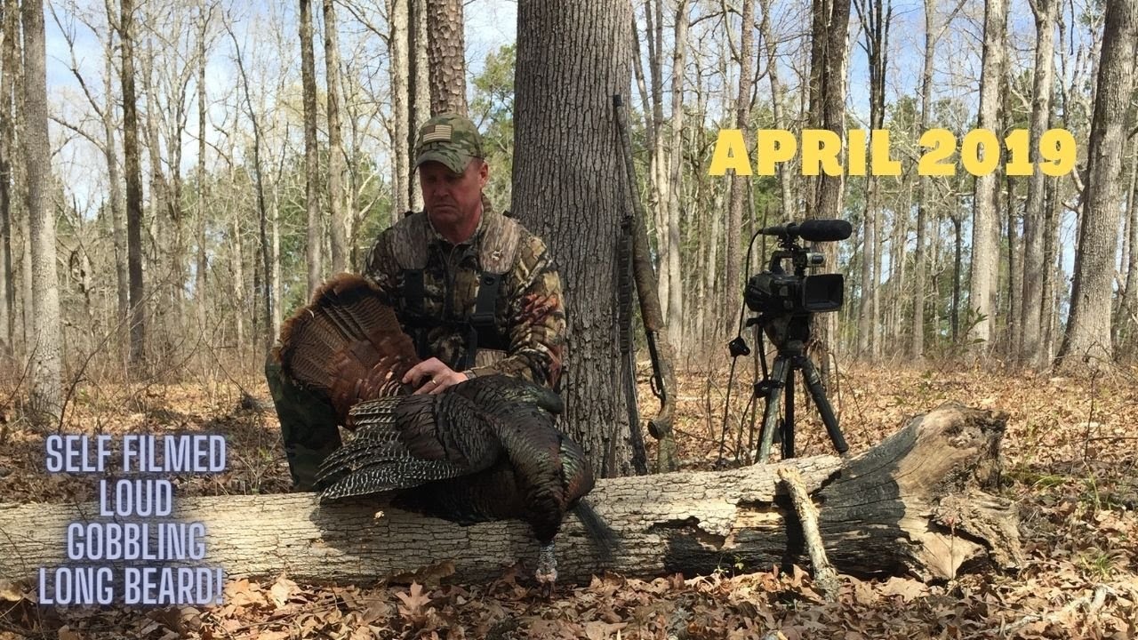 Turkey Hunting/Self Filmed Spring Turkey Hunt