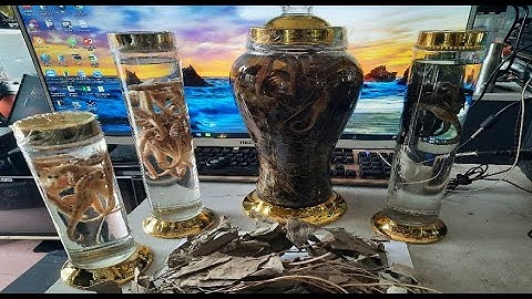 Hiếm Muộn Đường Con Cái Dùng Rượu Hỗ Trợ - Với Cá Ngựa Ngâm Cây Thảo DDH/Tiên Tửu Nội Địa Việt