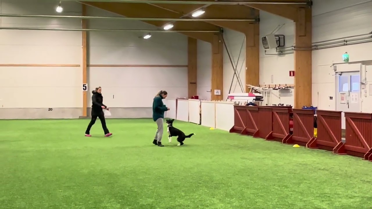 Muikku toko avo 24.1.2026