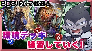 【#シャドウバース】大会前に練習していく！【Vtuber/グレイ・アダムス】