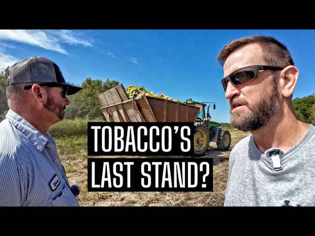 is it legal to grow tobacco in maryland For some, remains way of life southern Port Tobacco Village, Maryland -