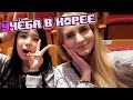 УЧЁБА В КОРЕЕ ДЛЯ ИНОСТРАНЦЕВ  / МОЙ ОПЫТ: Korea♡Green Korean Language School♡(ENG CC)