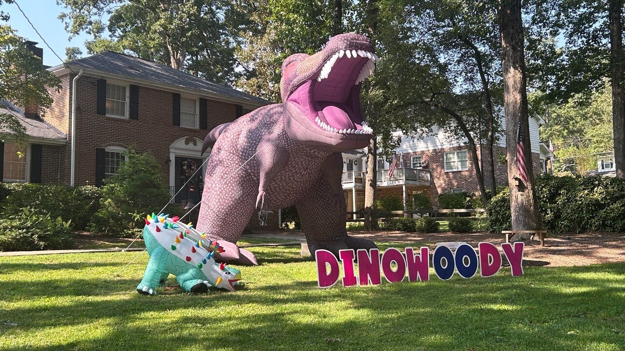 'Dinowoody' prompts city sign code review