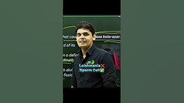 Funny moment in class😂||Prashant kirad shobhitnirwan|#class10 #shorts#vaishalichaudharykhutail Funny