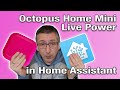 Octopus home mini live power in home assistant