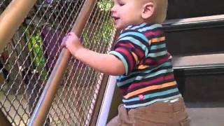 Small Hands, Big Hearts 2011.wmv