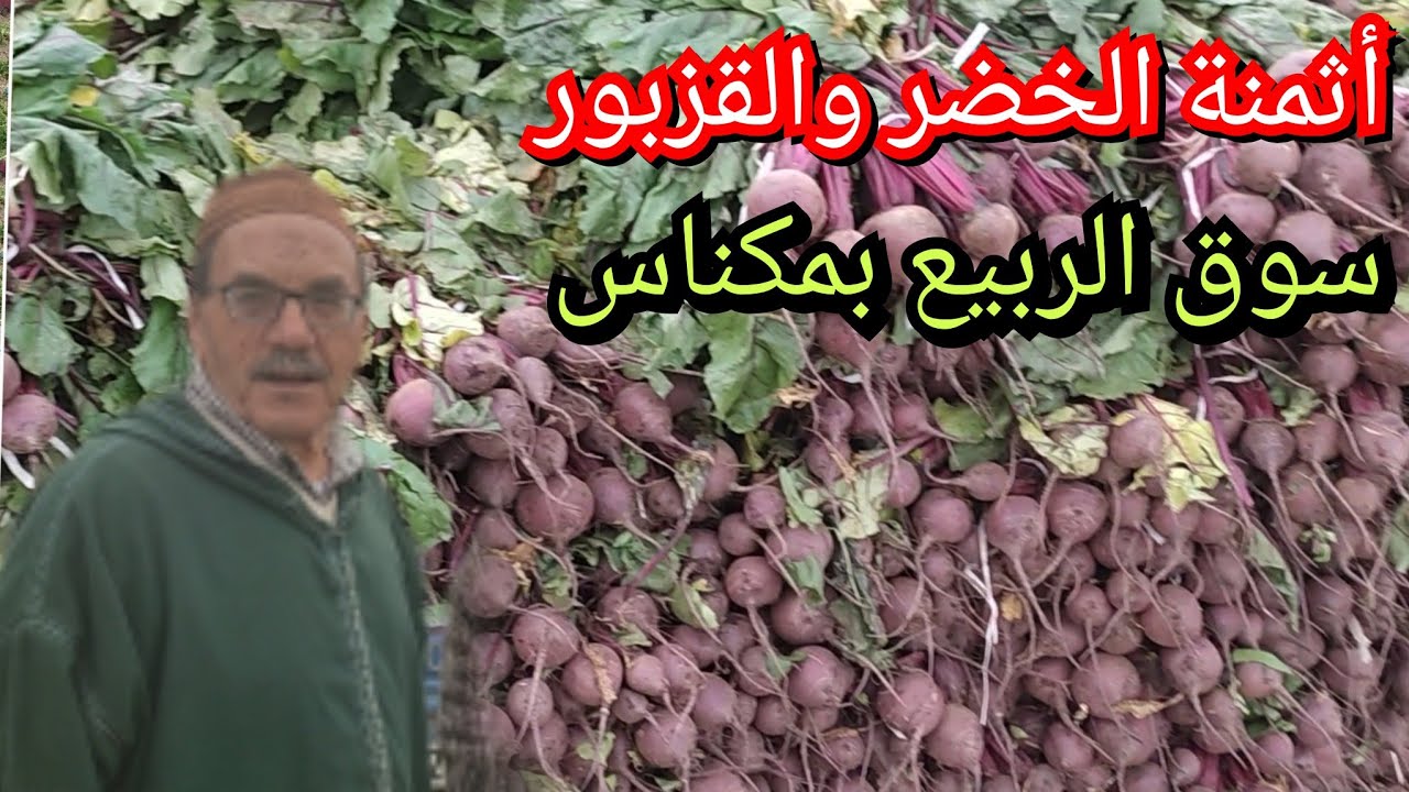 شاهد سوق الربيع القزبر والمعدنوس والنباتات العطرية بالجملة بمدينة مكناس.مع الأثمنة 7/4/24