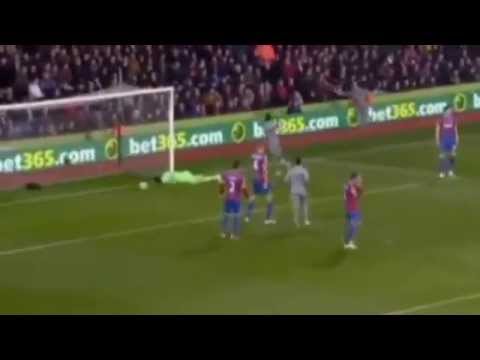 Crystal Palace vs Newcastle United 1   1 All Highlights &amp; Goals