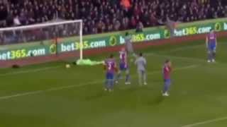 Crystal Palace vs Newcastle United 1   1 All Highlights & Goals