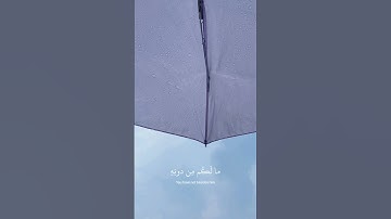 [ الله الذي خلق السماوات والارض ] كروما قران شاشه سوداء - القارئ عبدالرحمن مسعد