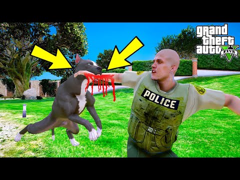 YAVRU PİTBULL DELİRDİ! POLİS AMİRİNİN KOLUNU KOPARTIYOR! - GTA 5