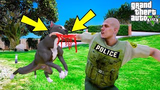 YAVRU PİTBULL DELİRDİ! POLİS AMİRİNİN KOLUNU KOPARTIYOR! - GTA 5