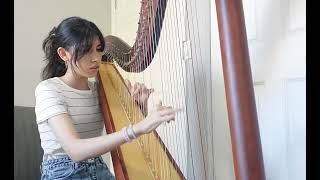 Baroque Flamenco by Parnian Hosseini (Only first 5 min, 3rd edition, Celtic Harp)