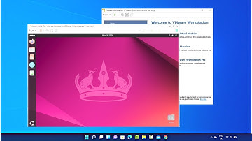 How to Install Ubuntu 24.04 LTS on VMware Workstation Player On Windows 11
