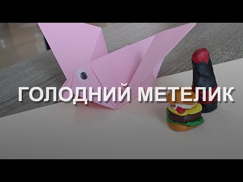 Голодний Метелик Автор Ілля 2025 Школа Мультиплікації