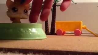 Lps randomness part 1