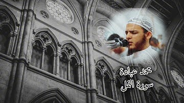 أمن يجيب المضطر إذا دعاه | محمد عبادة | سورة النمل